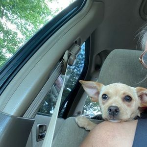 Meet your Posher, Johanna